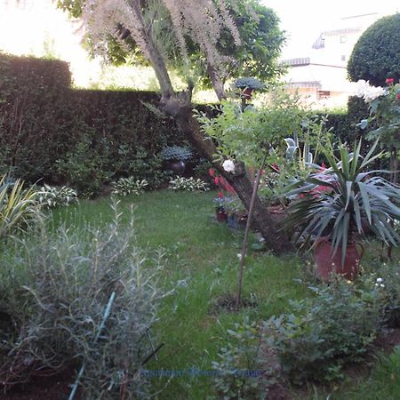 Apartman Wisteria Vranje Extérieur photo