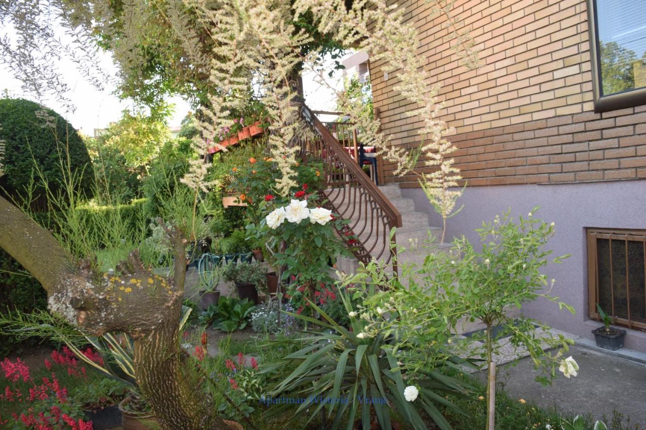 Apartman Wisteria Vranje Extérieur photo