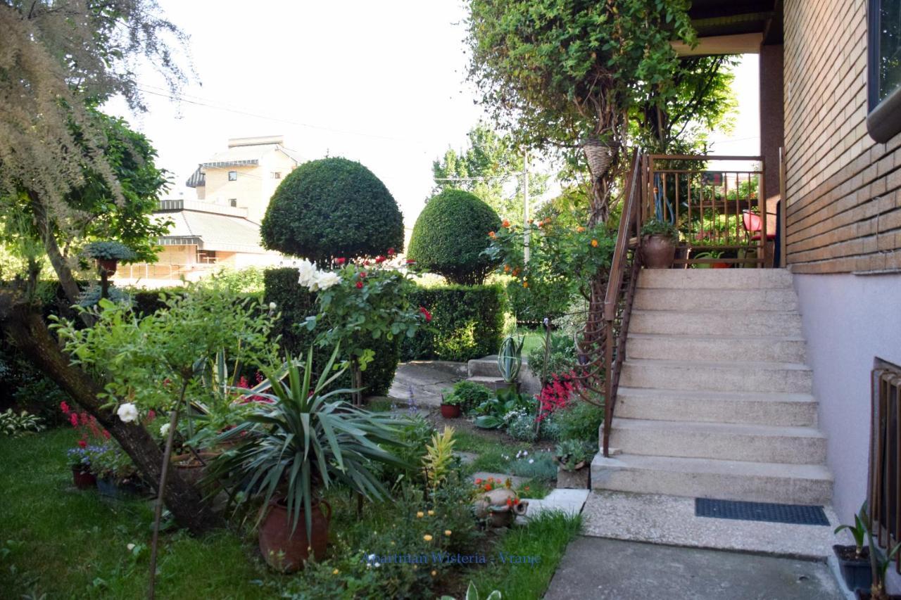 Apartman Wisteria Vranje Extérieur photo