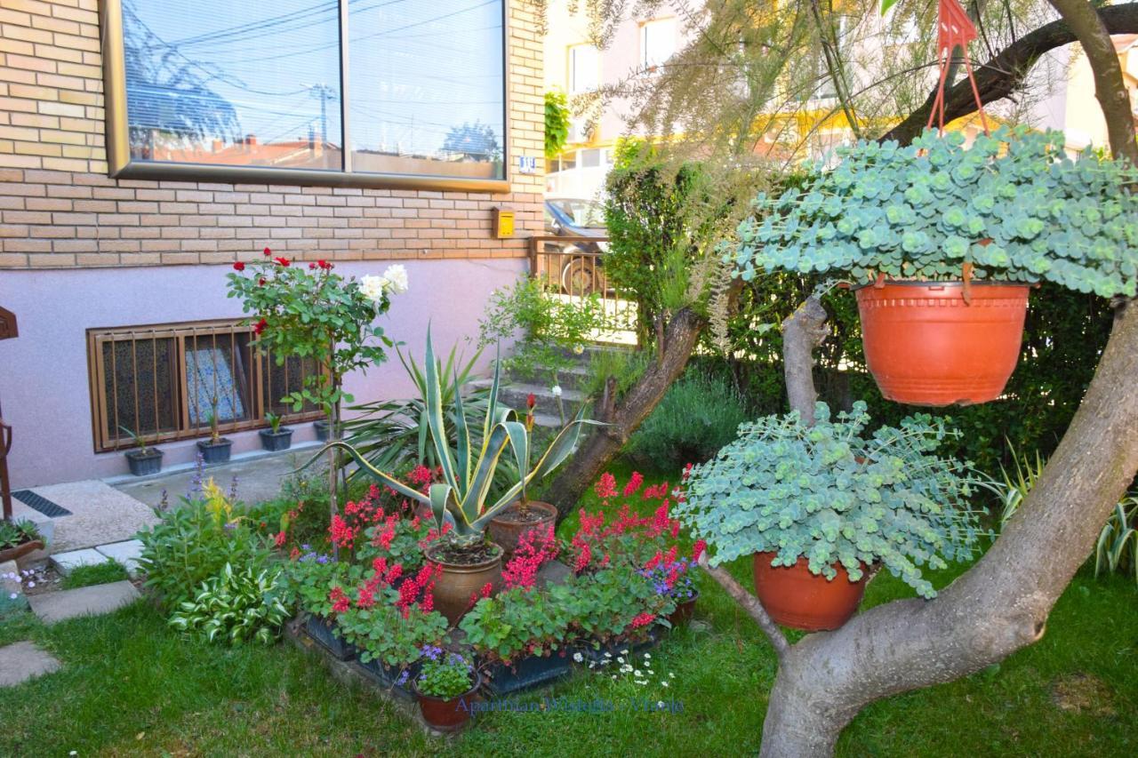 Apartman Wisteria Vranje Extérieur photo