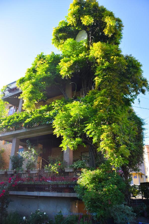 Apartman Wisteria Vranje Extérieur photo
