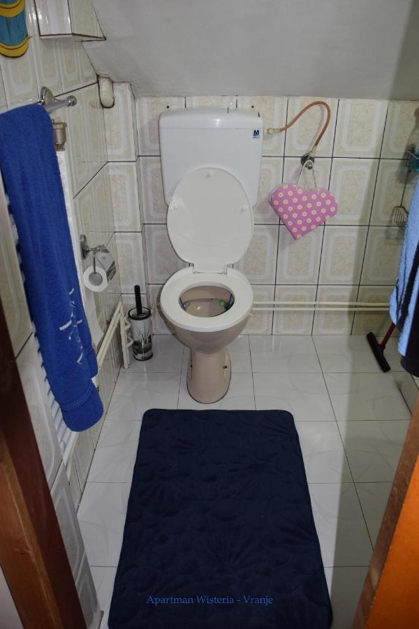 Apartman Wisteria Vranje Extérieur photo